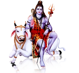 shiv